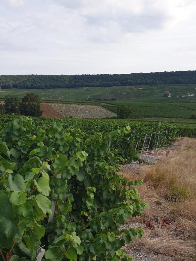 La Longere De Vin'Ay Lägenhet Vinay  Exteriör bild